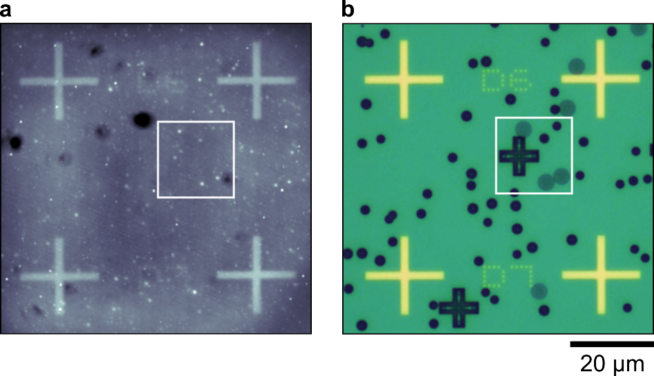 self-assembled quantum dots as seen by optical microscopy