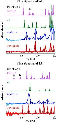 THz absorption spectra