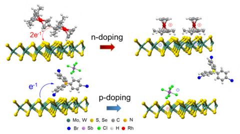 Schematic of interface engineering 2D materials.