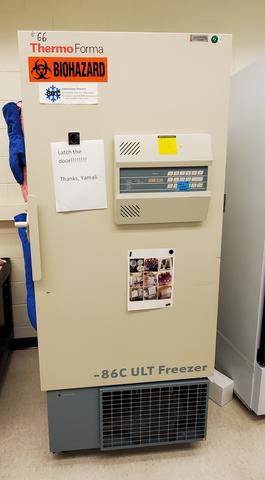 A119_ULT_freezer_thermo_forma