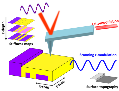 Schematic ICR-AFM on an elastically inhomogeneous material 