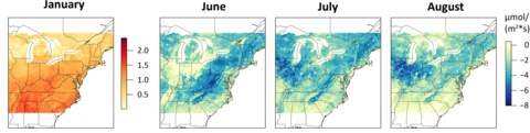 4 Maps of northeastern United States Net Ecosystem Exchange in January, June, July, and August  