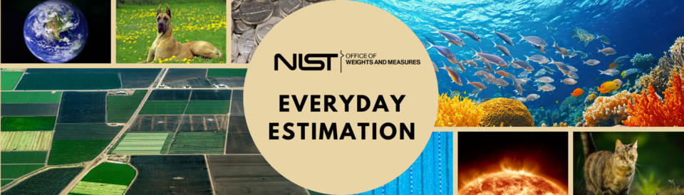 Everyday Estimation Banner