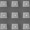 黑白显微照片显示，微小的白色面板平行排列，在深色背景上形成小方块。 