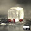 Tiny red cylinder probes are presented in front of a much larger ice cube.