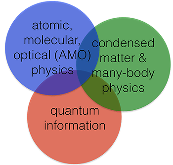 Quantum Many-Body Physics, Quantum Optics, And Quantum Information | NIST