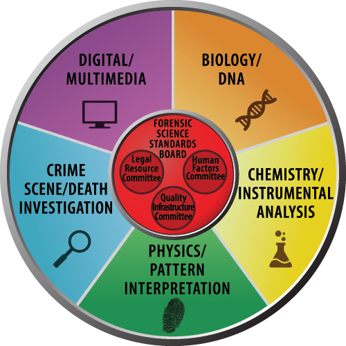 Стандарты науки. Science areas model.