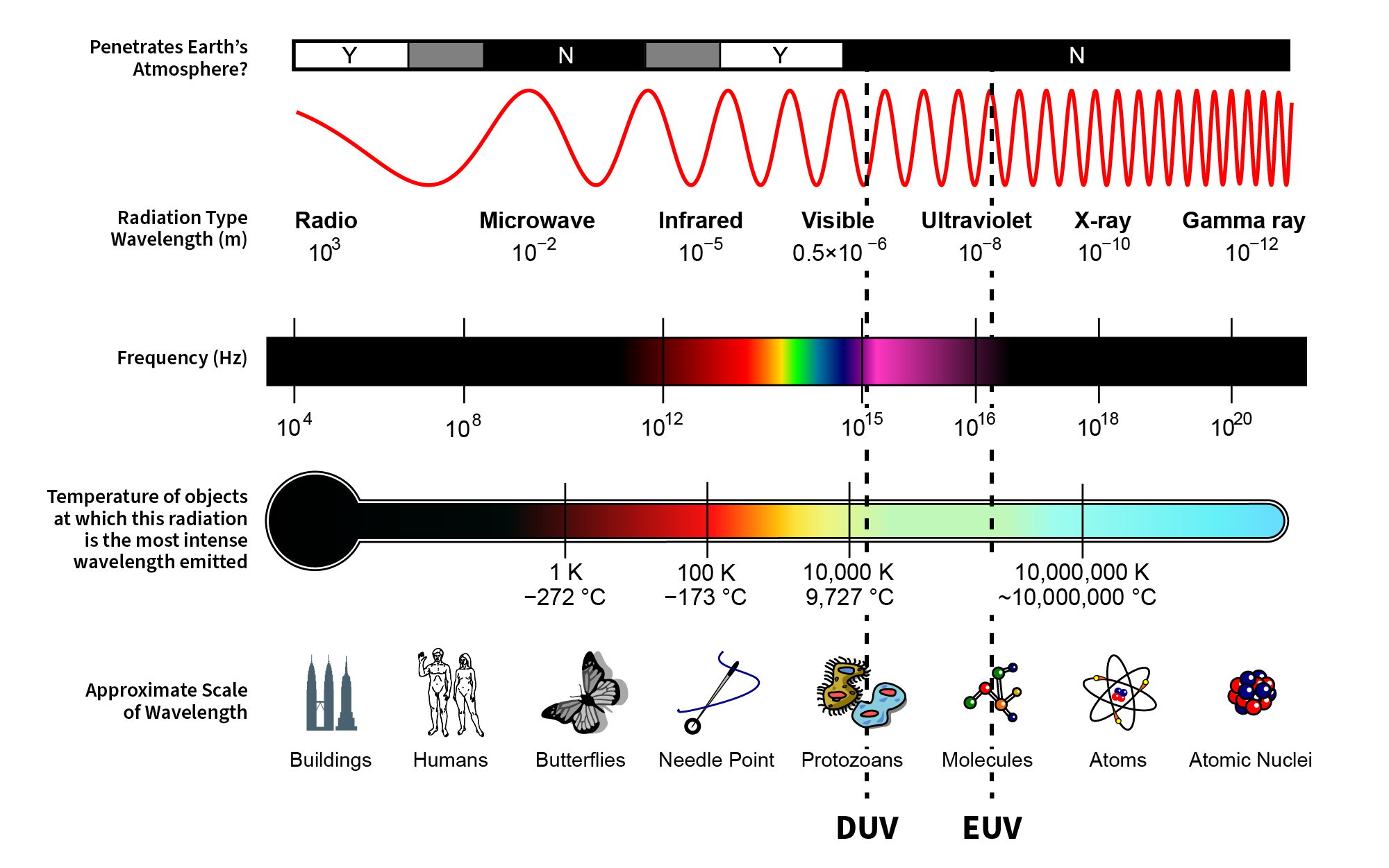 Electromagnetic Spectrum Chart
