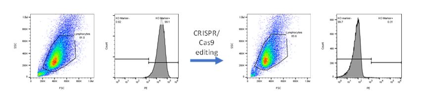 Quantitative Flow Cytometry Measurements | NIST