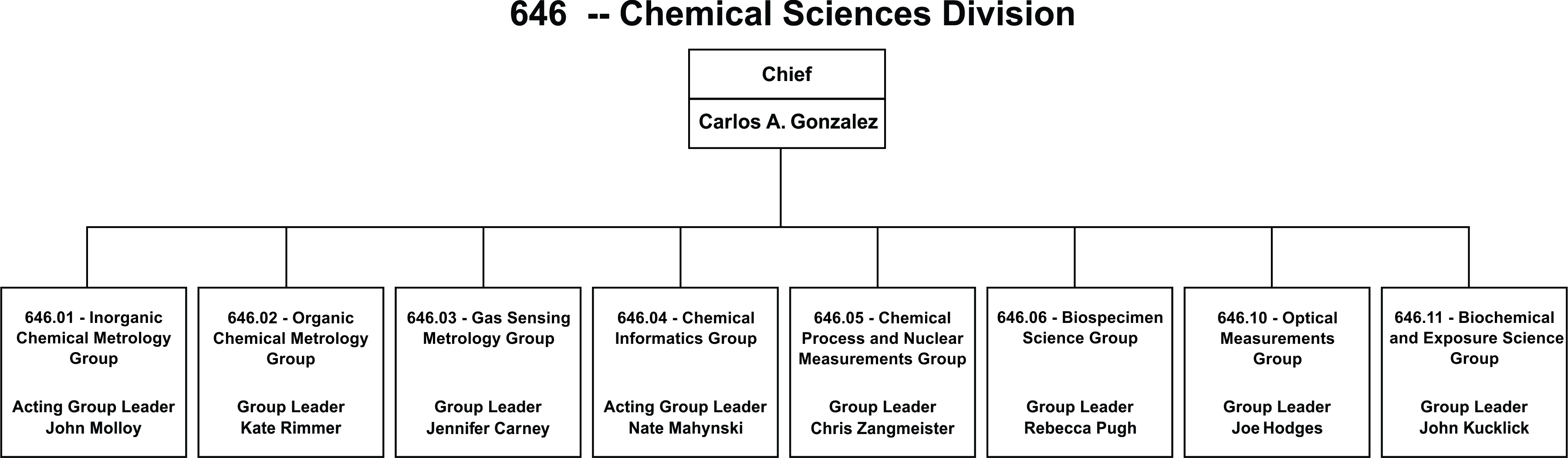 An organization chart with management and 8 groups.