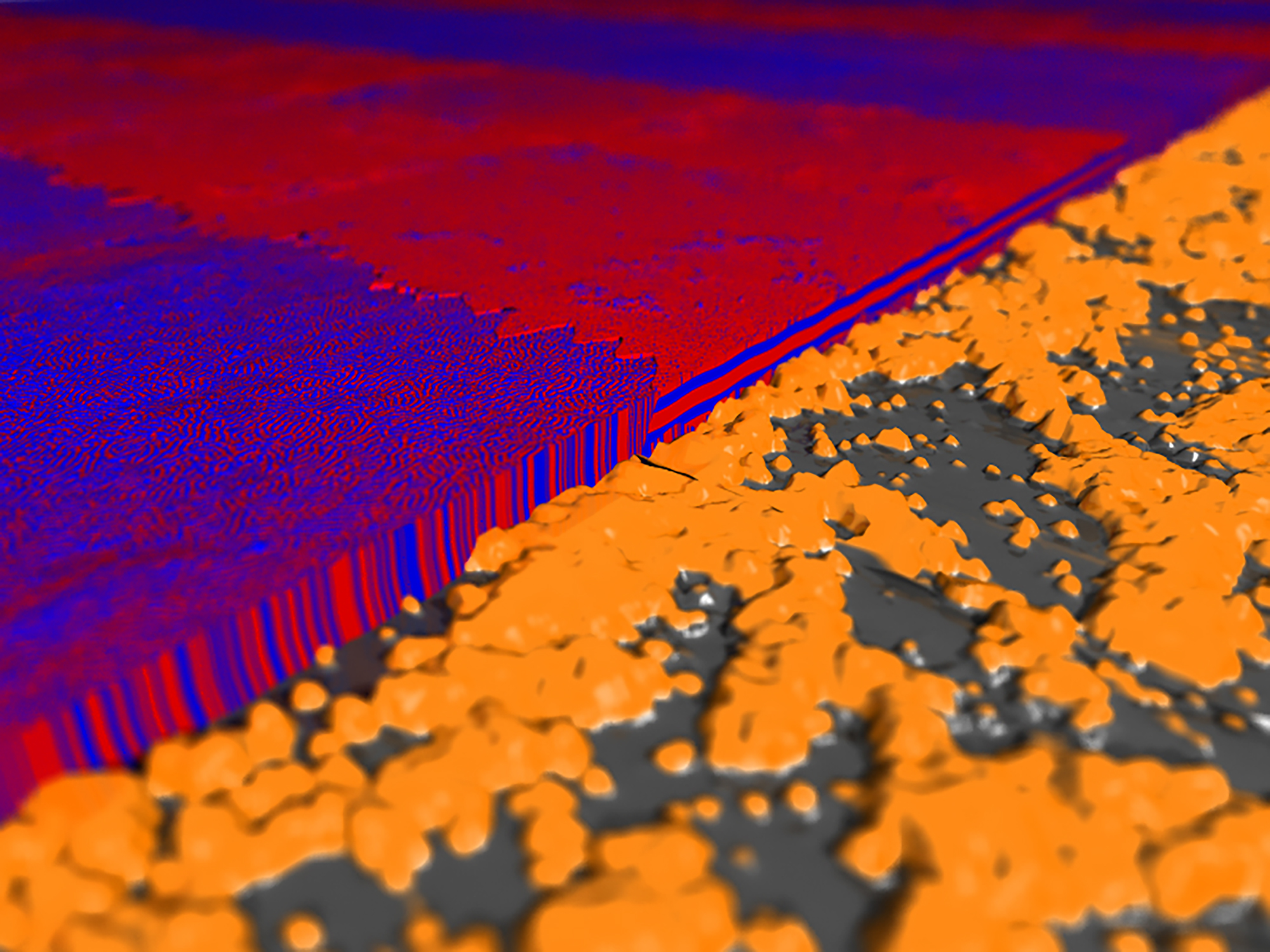 Self-assembled Polymer Molecules