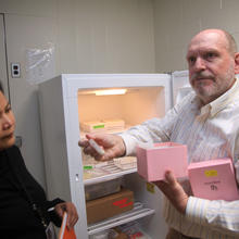 A man and a woman stand outside a freezer. The man is holding out a milk sample in a tube.