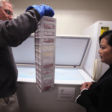 Man stands in front of a freezer holding a stack of milk vials. NIST scientist stands next to him.