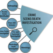OSAC Crime Scene Death Investigation SAC lgog