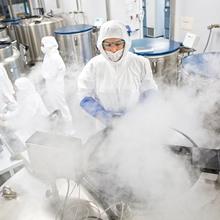 Photograph of a researcher accessing samples stored in a liquid nitrogen vapor freezer in a clean room.