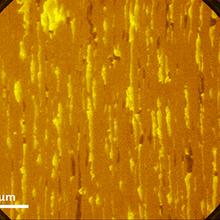Typical PEEM image of epitaxial graphene grown on silicon carbide at NIST where the contrast is due to regions of 1 to few layer graphene, graphite, and silicon carbide.