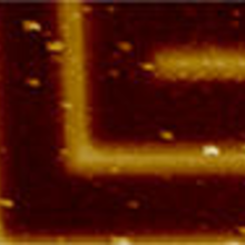 Non-destructive EFM phase image of metal lines buried beneath 800 nm thick glass, full scale change in contrast corresponds to 35 degree change in phase. The white bar is 10 µm.