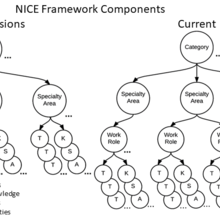 NICE Framework Components