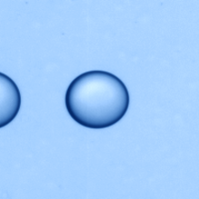 A series of drops of one liquid flowing in another through a microchannel, extending when they accelerate through a constriction