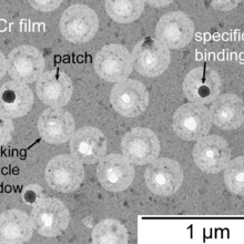 images of 300 nm patchy particles