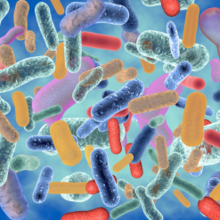 Microbiome Illustration