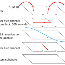 Exploded schematic shows line drawings of five layers inside the optofluidic flow meter.