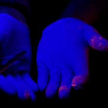 A pair of hands inside nitrile gloves, photographed under ultraviolet light, with small amounts of glowing powder visible on the gloves.