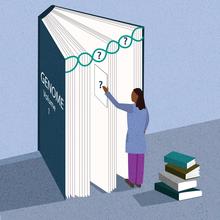 A scientist stands in front of a book, which represents the human genome, and tries to identify the missing pieces or chapters.