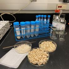 Three samples -- flour, oat cereal, and oatmeal -- sit with scientific equipment on a counter.