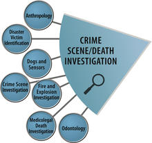 crime investigation scene death committee scientific area sac osac nist activities integrate standards strategic serves direction provides forensic platform multiple