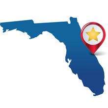 Graphic of Florida CHIPS Award