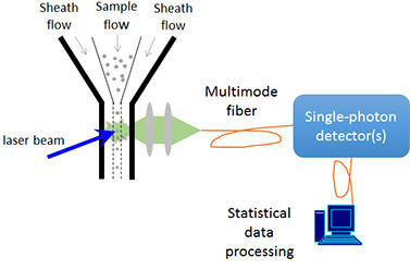 Quantum Biophotonics | NIST