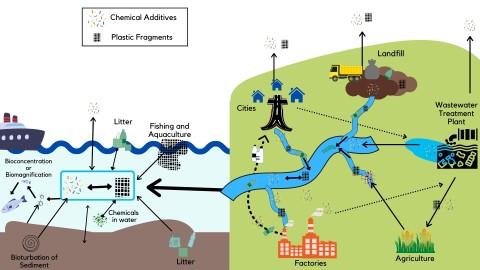 Graphic depicting the sources and transport of plastic additives in the environment. 