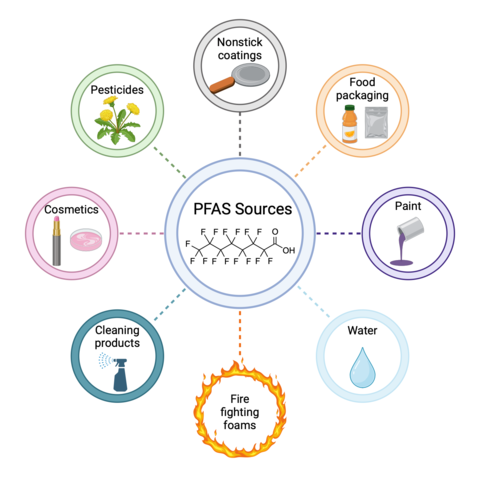 PFAS (per- and polyfluoroalkyl substances) sources include nonstick coatings, food packaging, paint, water, firefighting foams, cleaning products, cosmetics, and pesticides.
