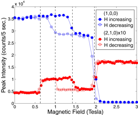 HoMnO3 Field Dependence at Low Temperature
