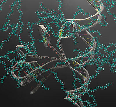 BIOMOLECULES. - ppt download