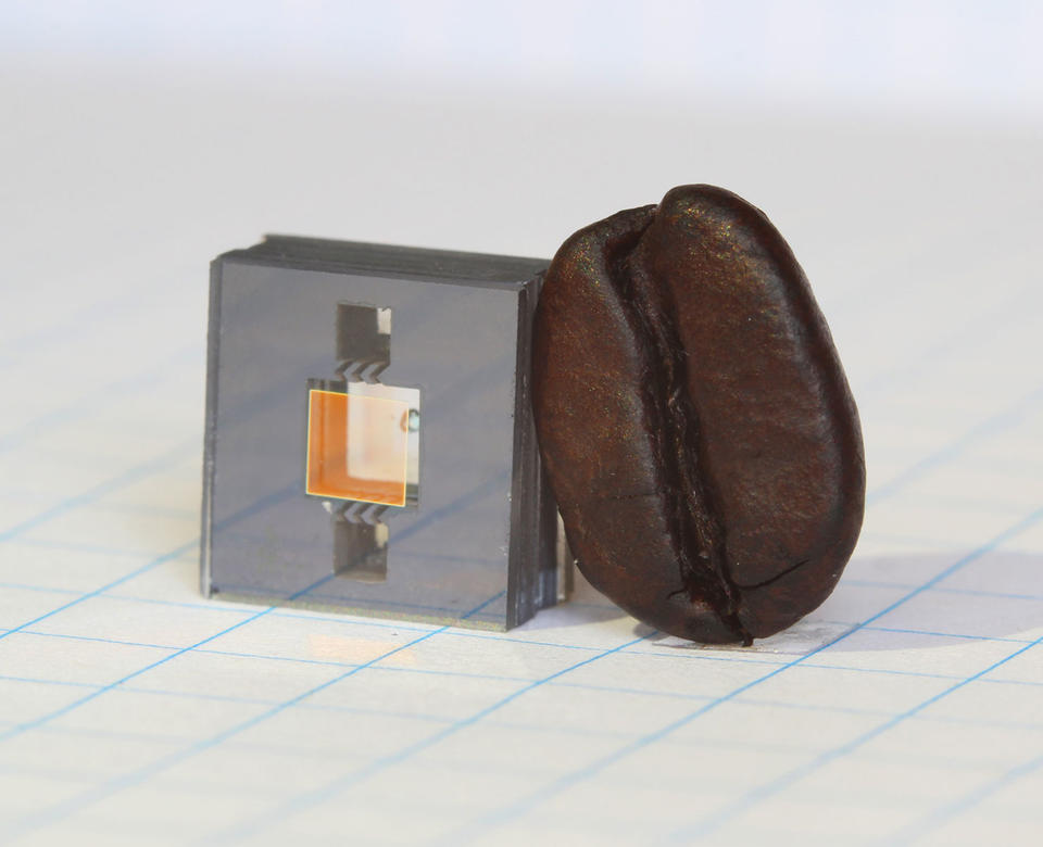 small atomic clock with coffee bean for scale