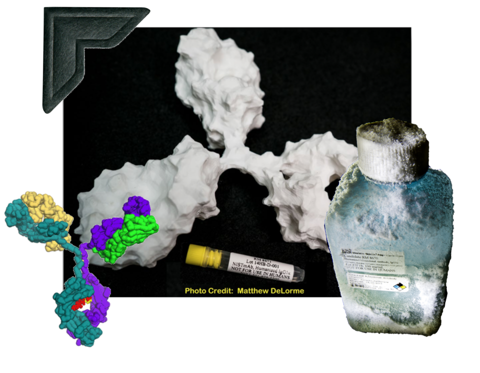 The monoclonal antibody standard is shown in digitial renderings, along with a vial and a frosted bottle. 