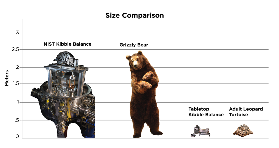 A size comparison chart showing four objects: a NIST-4 Kibble balance (around 2.5 meters), a grizzly bear (same), a tabletop Kibble balance (less than .5 meters), and a leopard tortoise (same).