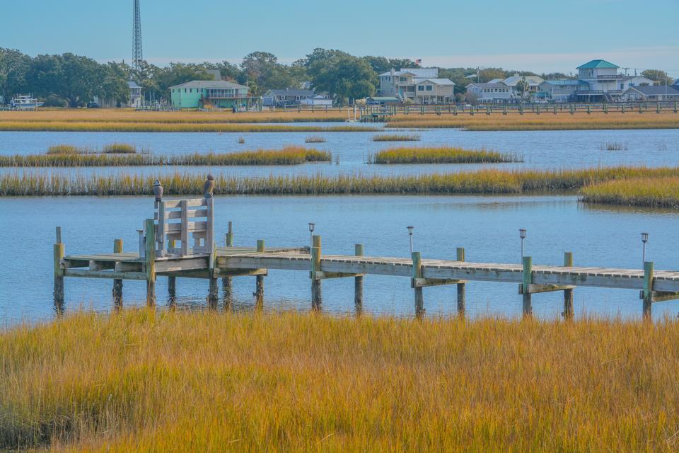 Yellow grass surrounds a wooden boat dock that extends into a shallow wetland. Across the water is a small town of buildings and trees.