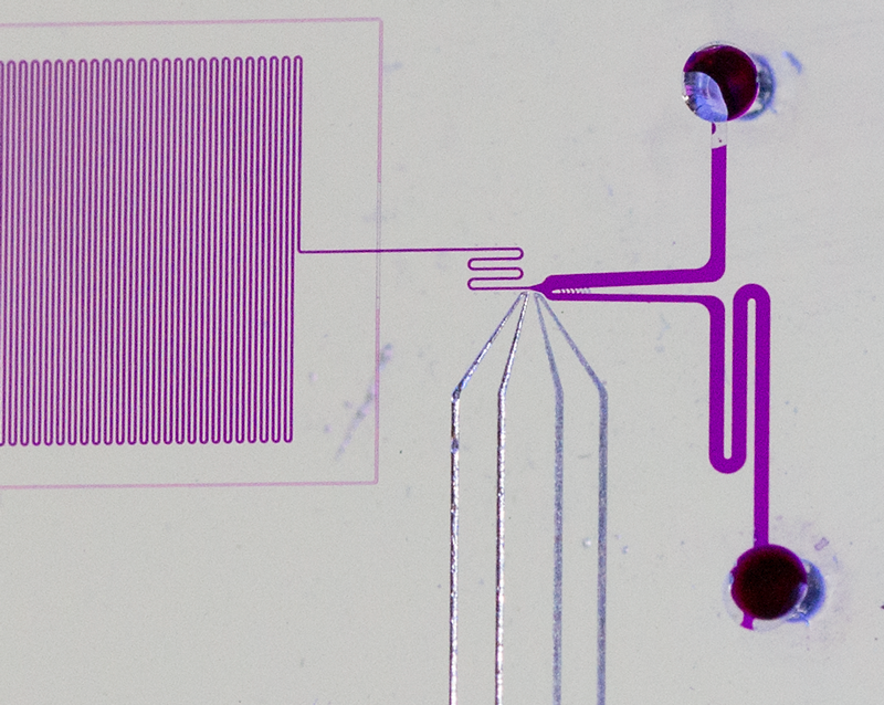 Microfluidic Channel System