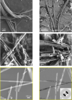 Grid of six B&W images of asbestos fibers taken by scanning electron microscopy
