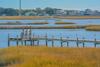 Yellow grass surrounds a wooden boat dock that extends into a shallow wetland. Across the water is a small town of buildings and trees.