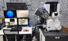 ThermoFisher Hydra PFIB Dual Beam Scanning Electron Microscope